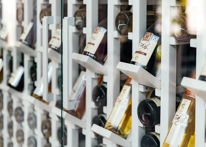 Guest house Aqua Maria 4*